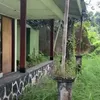 Rumah pelawak Jojon terbengkalai