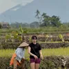 Sintya Marisca Ikut Tanam Padi