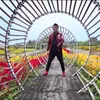 Video klip Fildan