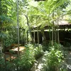 Warung Kondre