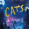 Film dengan Tokoh Utama Kucing 