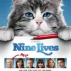Film dengan Tokoh Utama Kucing 