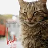 Film dengan Tokoh Utama Kucing 