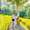 Selebriti yang siap sambut anak kedua