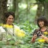 TADA KIMI WO AISHITERU / HEAVENLY FOREST