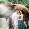 Foto Prewed Vicky Prasetyo - Kalina Ocktaranny