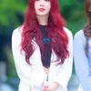 alis idola K-Pop