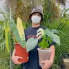 Anak Soimah