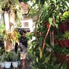 Anak Soimah