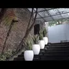 halaman rumah mewah Momo Geisha