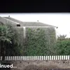 halaman rumah mewah Momo Geisha