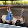 Keponakan online kesayangan netizen ini juga menunjukkan berbagai macam gaya centilnya saat menunggangi kuda Aisyah dengan tetap didampingi petugas.