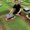 Adik Millendaru
