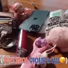 isi tas dan barang unik aespa