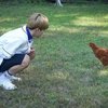 Jimin sampai berjongkok agar sejajar saat berteman dengan ayam saat bertemu dengan binatang yang satu ini. Kira-kira Jimin ngobrol apa ya sama ayam?