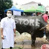 Potret Putra Siregar pecahkan rekor muri.