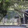 Rumah Gideon Tengker