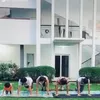 rumah seleb, rumah kak seto, potret rumah kak seto