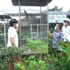 rumah mewah Narji Cagur