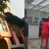 rumah seleb, rumah komeng, rumah pribai seleb