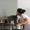 Sinta Keong Racun