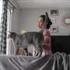 Sinta Keong Racun