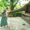 Shandy Aulia &amp; Baby Claire ke Bali Zoo
