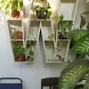 Rumah Tumbuh Widi Mulia dan Dwi Sasono