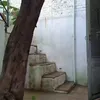 Rumah Tumbuh Widi Mulia dan Dwi Sasono