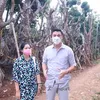 Titi Kamal dan Christian Sugiono beli pohon