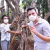 Titi Kamal dan Christian Sugiono beli pohon