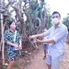 Titi Kamal dan Christian Sugiono beli pohon