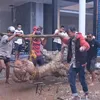 Titi Kamal dan Christian Sugiono beli pohon
