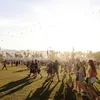 Coachella Festival