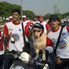Ace Armani Anjing Pintar