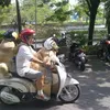 Ace Armani Anjing Pintar