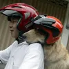 Ace Armani Anjing Pintar