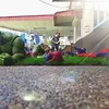 action figure