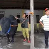 Artis Dangdut Kurban