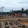 kayu-kayu glondongan bekas banjir sumatera