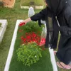 Aleesya