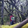 Trip Semeru Dominique Diyose