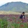 Trip Semeru Dominique Diyose