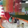 Anak Titi Kamal &amp; Carisaa Putri