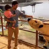 Andrew ingin dapat hak asuh anak