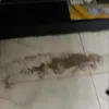 Anisa Bahar Disantet Diguna Guna