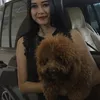 Aura Kasih