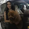 Aura Kasih