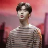 Idol K-Pop Clean Freak