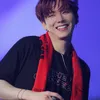 Idol K-Pop Clean Freak